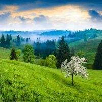 霍永军