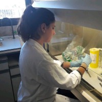 Iris Martínez Moreno