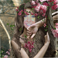 Crystal Looney