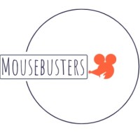 Team Mousebusters