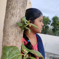 Charumathi Malarvani