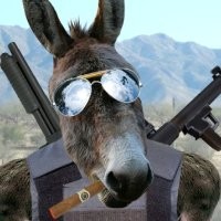 ron postoak