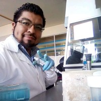 FERNANDO MONTES GARCIA