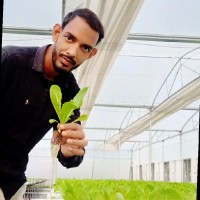 Abdul Wahid Ansari