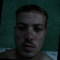 Lincoln Ales Singer Lemos Bovenschulte