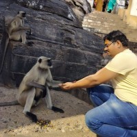 Kapil Pandey