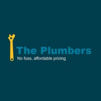 The Plumbers