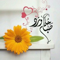 Ahmed Abd Elhak