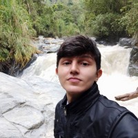 Diego Toro Florez