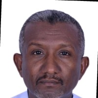 محمد الصديق