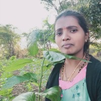 Padma Latha