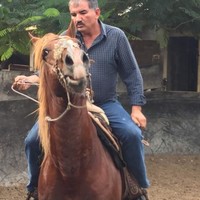 Hector Fdo Cavazos Rodriguez