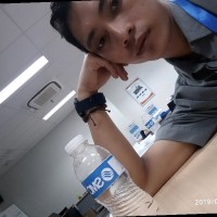ibnu widodo