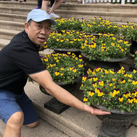 Ba Luong