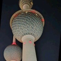 Shuaib L
