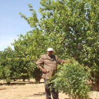 Abdi Hassan Musse