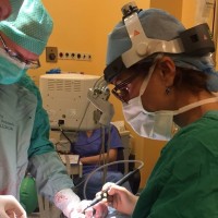 Malgorzata Wierzbicka