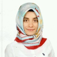 Merve Beyazkaya Tüfekçi