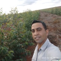 Nivaldo Silva