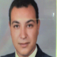 Alaa Fathy