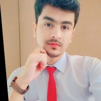Hussain Malik