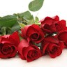 Singh Vikash Vikash Singh