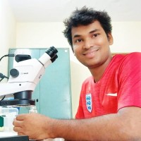 Pradip N. Chogale