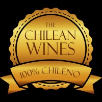 ChileanWines Market Global SPA