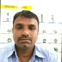 Naga Rajan