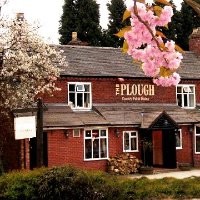 the plough