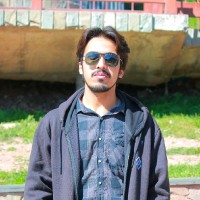 Muhammad Saad Paracha