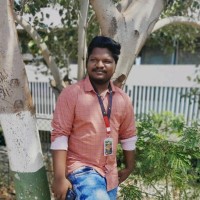 Visindra Palepogu