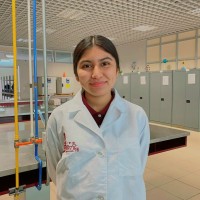 Perla Marysol Peña Reséndiz