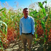 ercan Avcı
