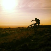 Sean Coulton