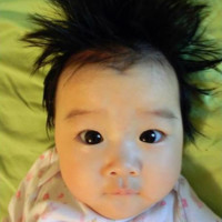 Kevin Han