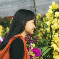 Tam Ho Thi Thanh