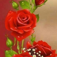 Darwil Donis