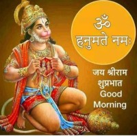 Hemant Meena