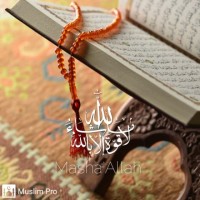 Rassim Yarichen