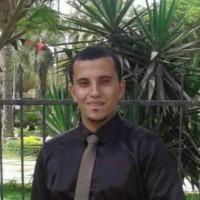 Mohamed Mostafa Kamel