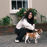 Yilin Li