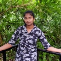 Lakshmidevi paleti
