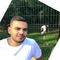 Hen Zaguri