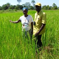 drame ibrahima