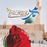 Hafiz Salamat Ullah