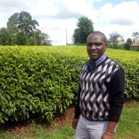 Stephen Ngigi