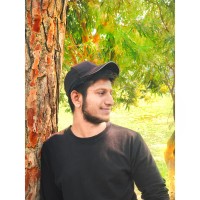 Ali Fareed