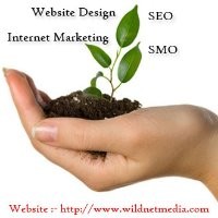 Wild Net Media Technology