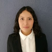 Diana Lizeth Rodríguez